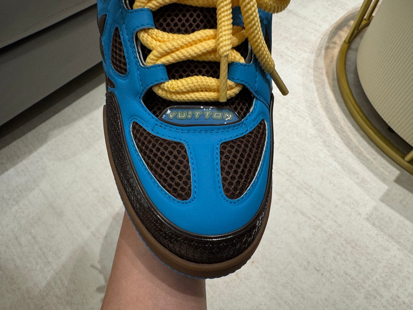 Louis Vuitton Skate Sneaker Brown Blue