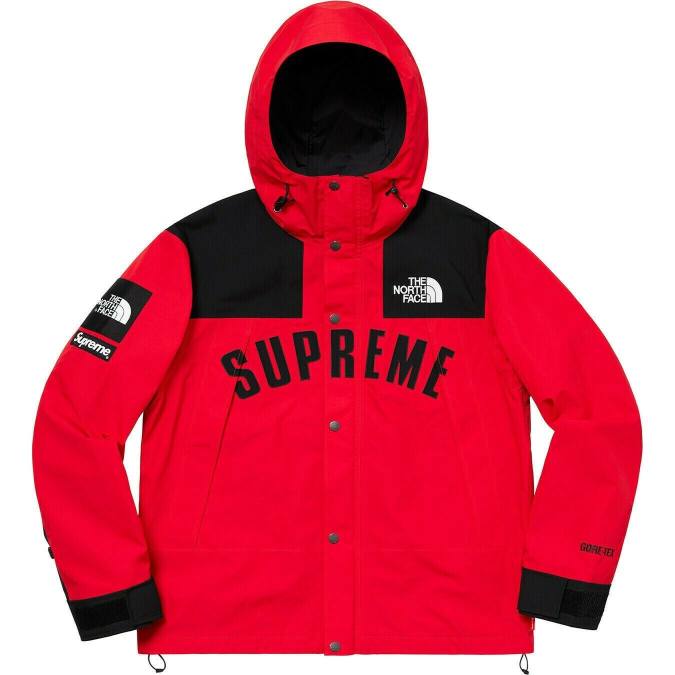 supreme-x-the-north-face-arc-logo-mountain-parka-10-Drip Store Argentina