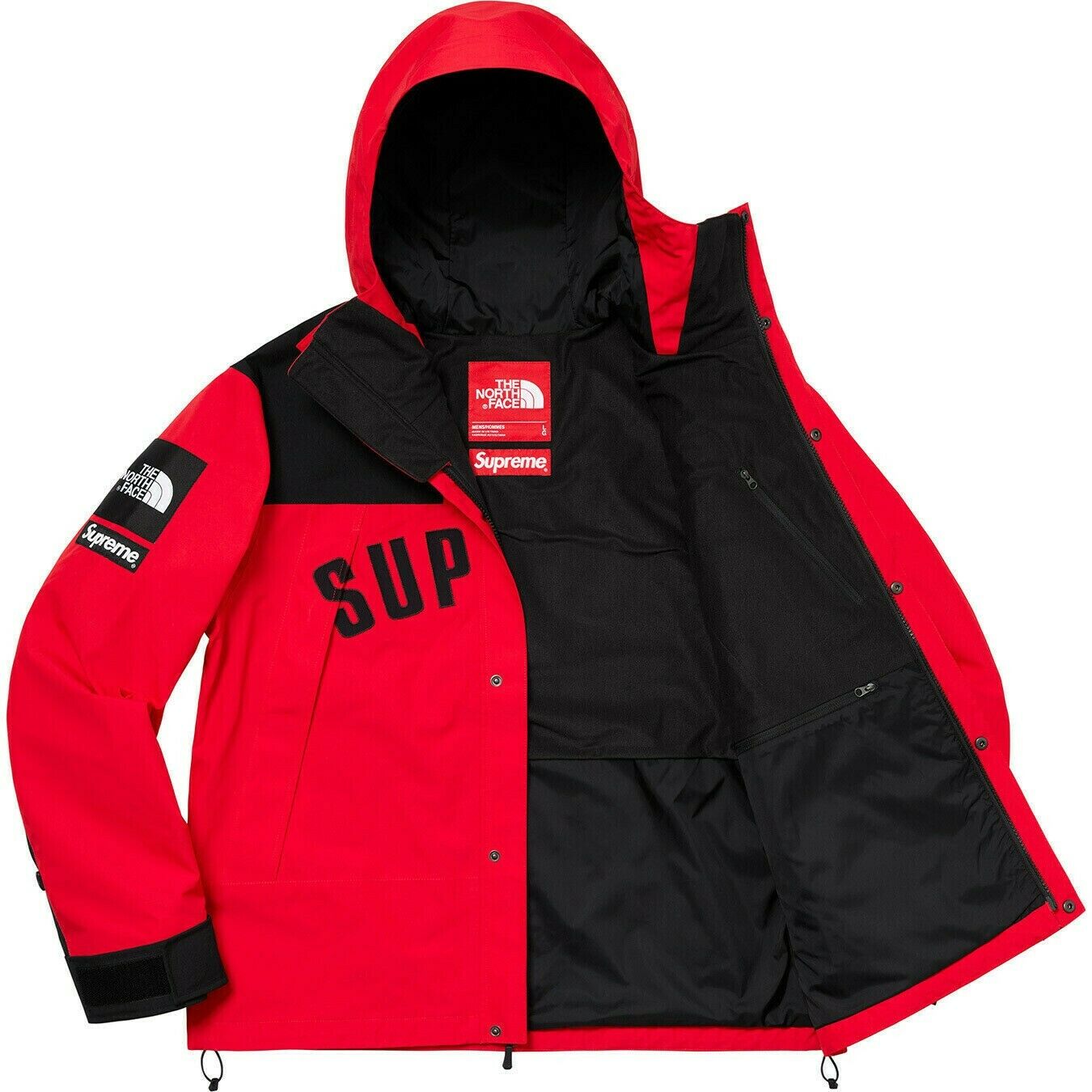 supreme-x-the-north-face-arc-logo-mountain-parka-12-Drip Store Argentina