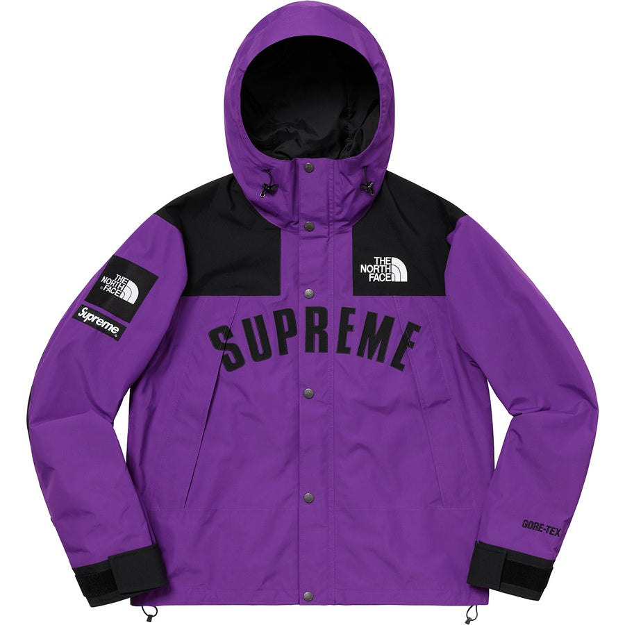 supreme-x-the-north-face-arc-logo-mountain-parka-13-Drip Store Argentina