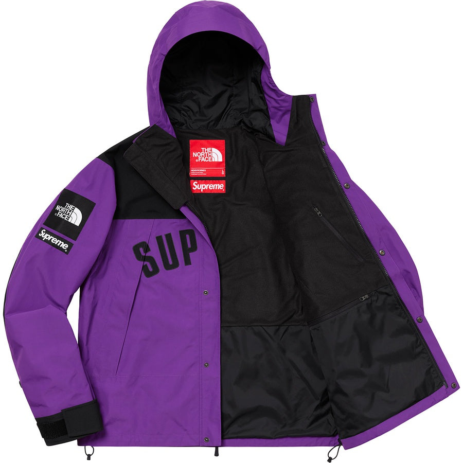 supreme-x-the-north-face-arc-logo-mountain-parka-15-Drip Store Argentina