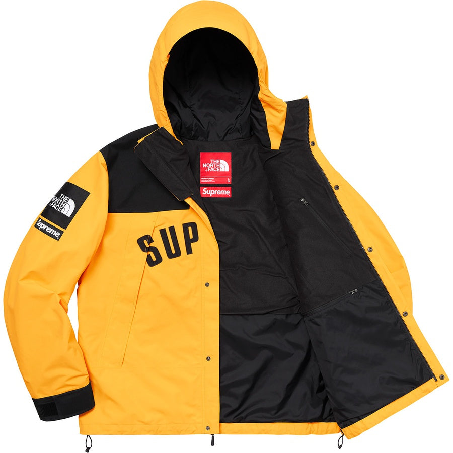 supreme-x-the-north-face-arc-logo-mountain-parka-3-Drip Store Argentina