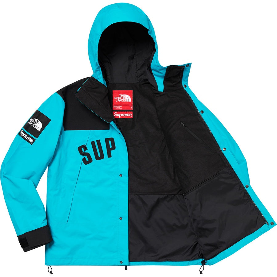 supreme-x-the-north-face-arc-logo-mountain-parka-5-Drip Store Argentina