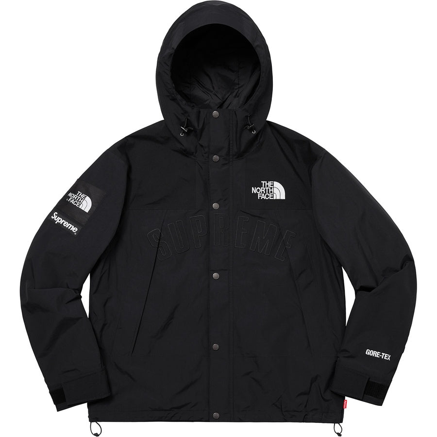 supreme-x-the-north-face-arc-logo-mountain-parka-7-Drip Store Argentina