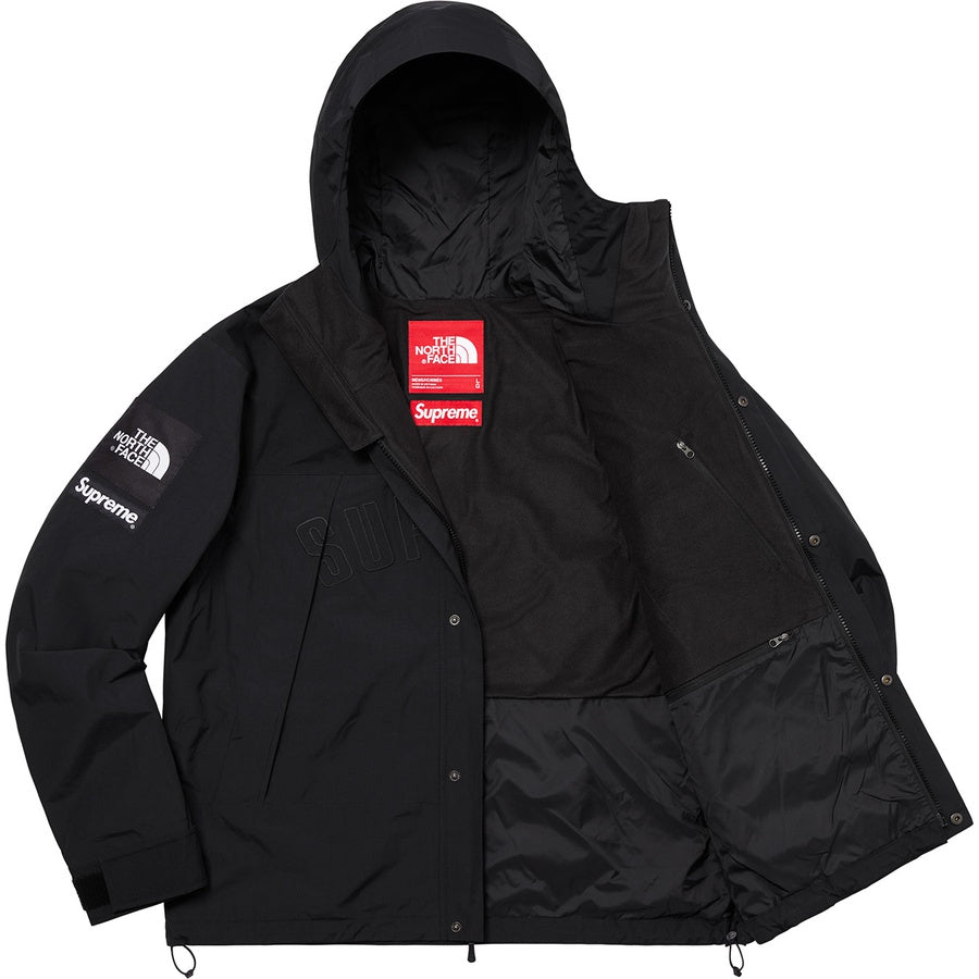 supreme-x-the-north-face-arc-logo-mountain-parka-8-Drip Store Argentina