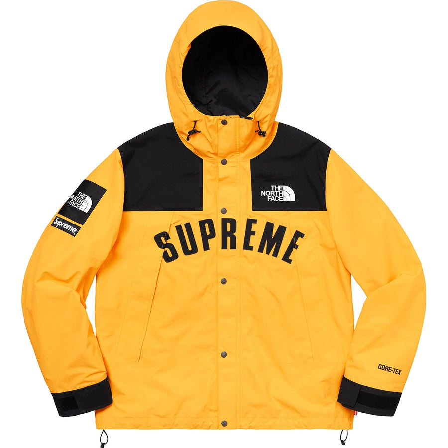 supreme-x-the-north-face-arc-logo-mountain-parka-Drip Store Argentina