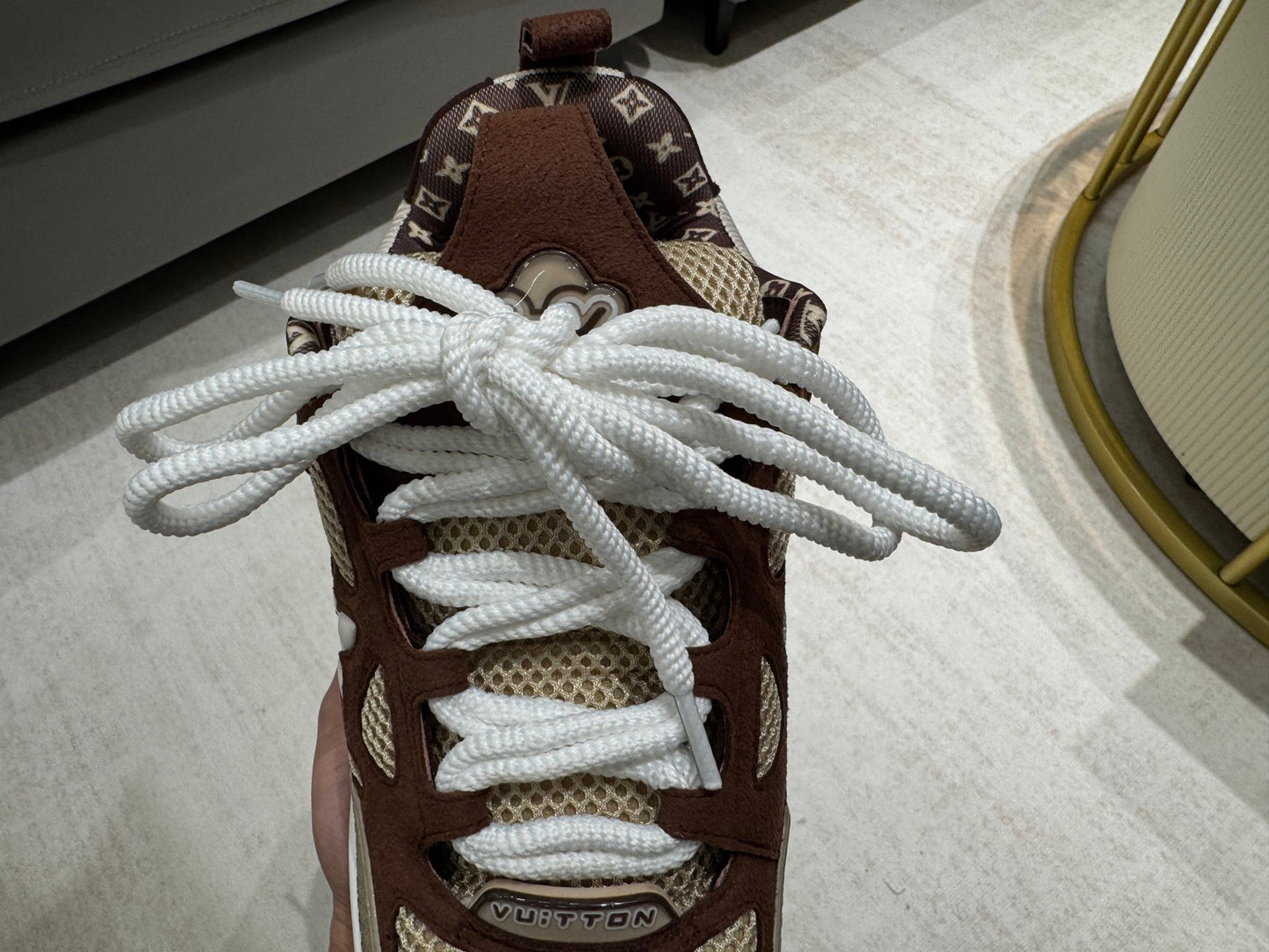 Louis Vuitton Skate Sneaker Brown