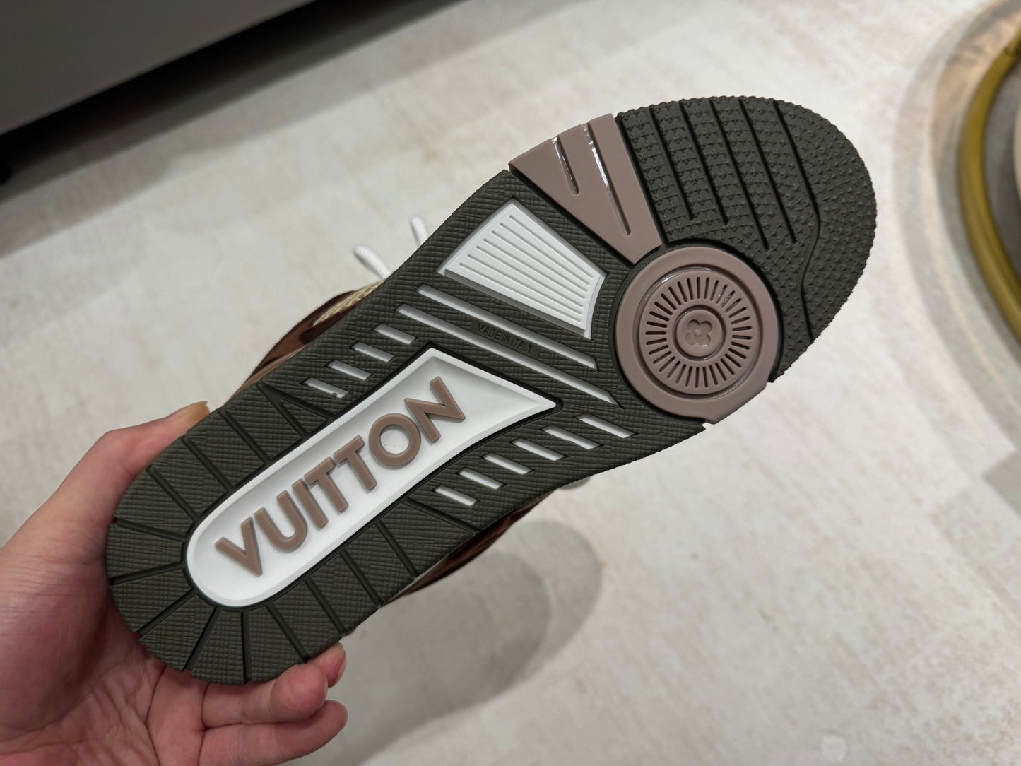 Louis Vuitton Skate Sneaker Brown