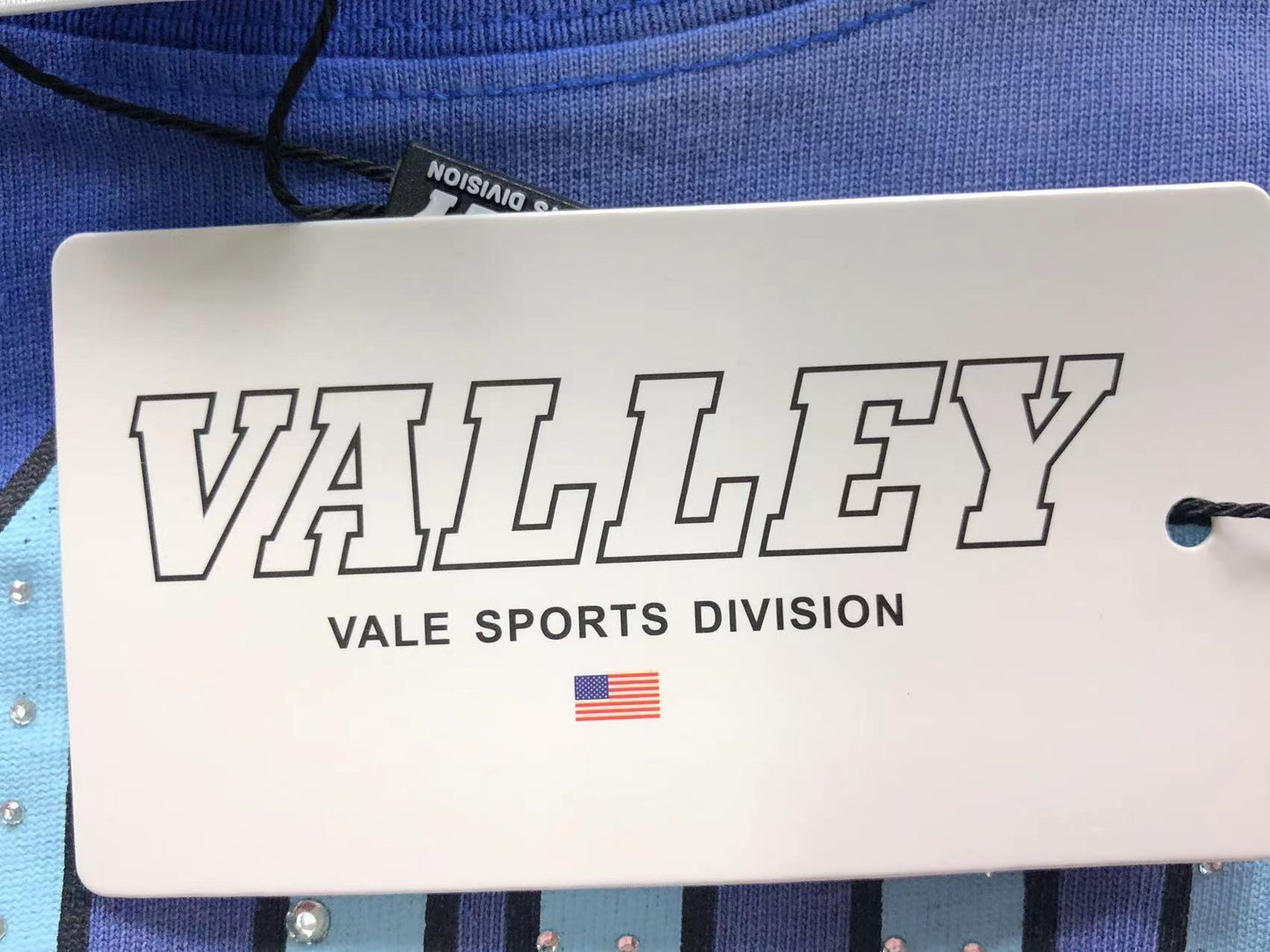 Vale Forever Summer Slam Tee Blue