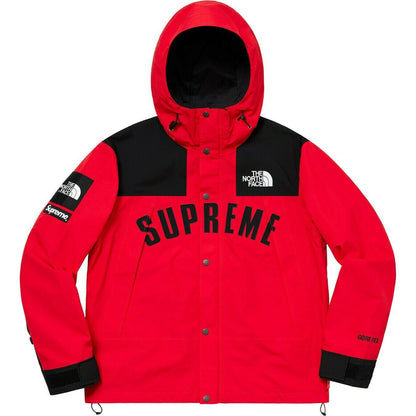 supreme-x-the-north-face-arc-logo-mountain-parka-10-Drip Store Argentina