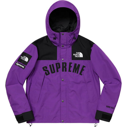 supreme-x-the-north-face-arc-logo-mountain-parka-13-Drip Store Argentina