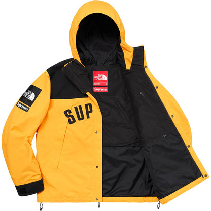 supreme-x-the-north-face-arc-logo-mountain-parka-3-Drip Store Argentina