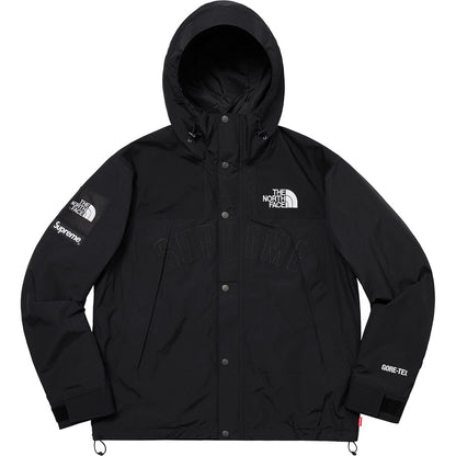 supreme-x-the-north-face-arc-logo-mountain-parka-7-Drip Store Argentina